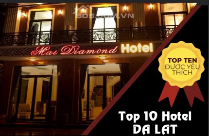 Hotel Mai diamond đà lạt 250k/ngày